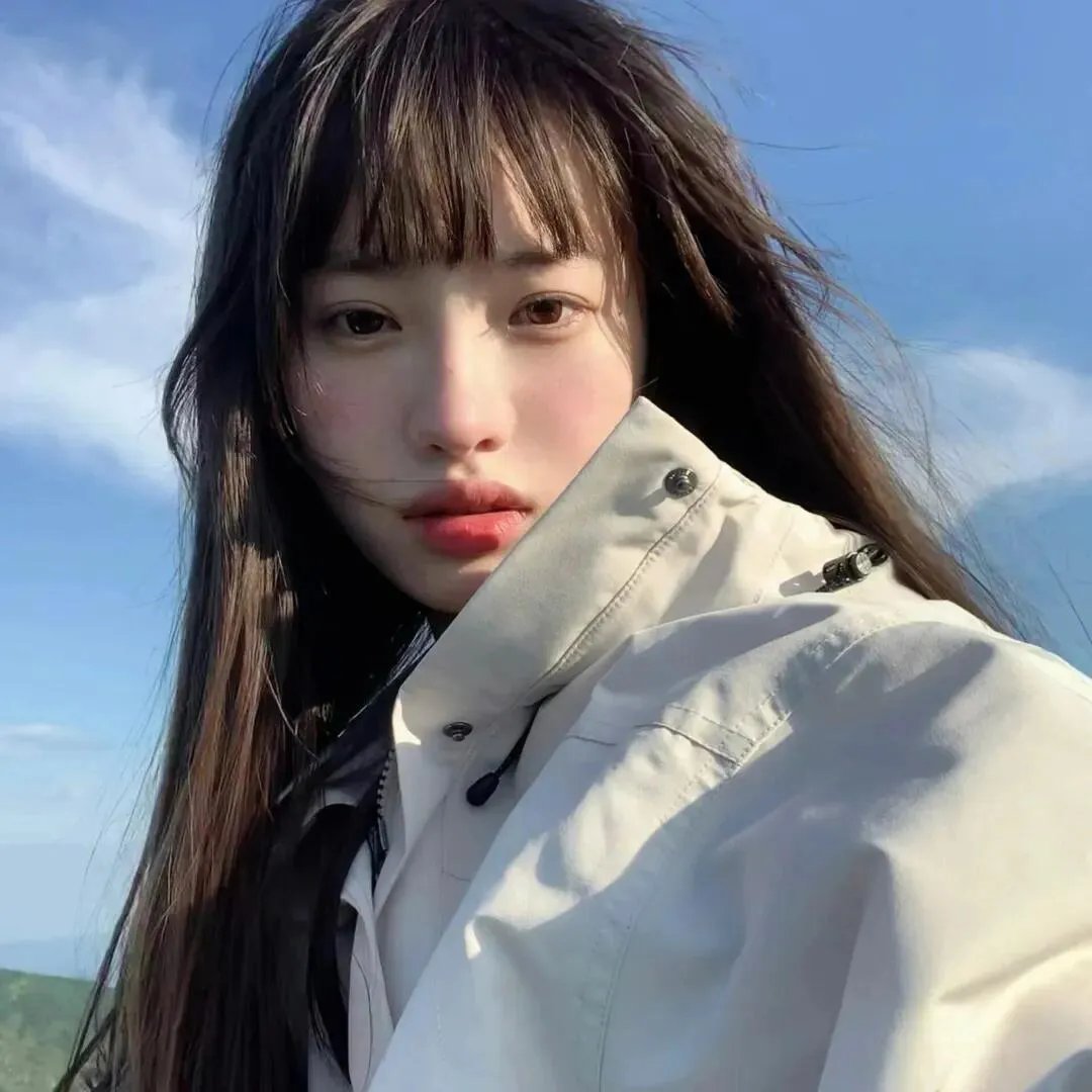 小野猫公路历险记