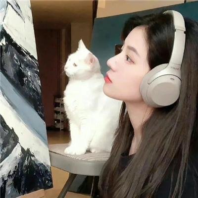 美国队长3：英雄内战