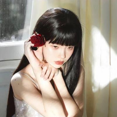 少帅天天求复婚